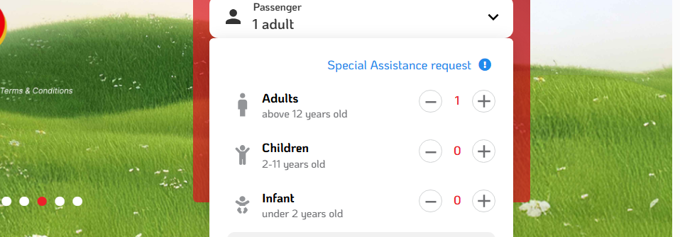 Select the Number of Passengers