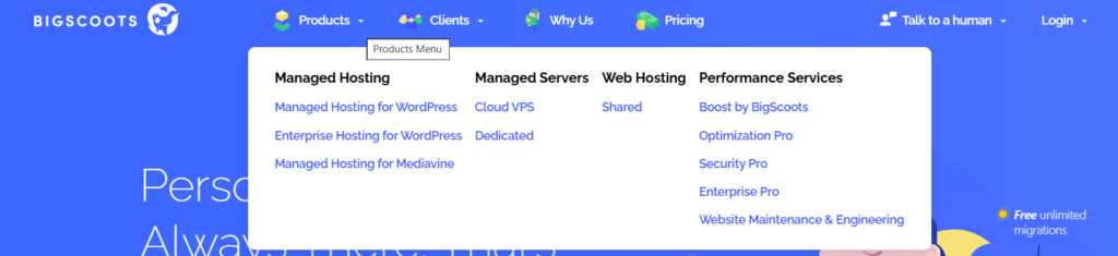 Your Hosting Plan